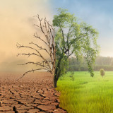 Clean Air, Water and Climate